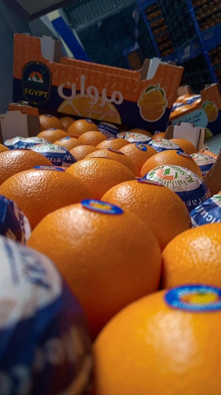 فيديو المعرض