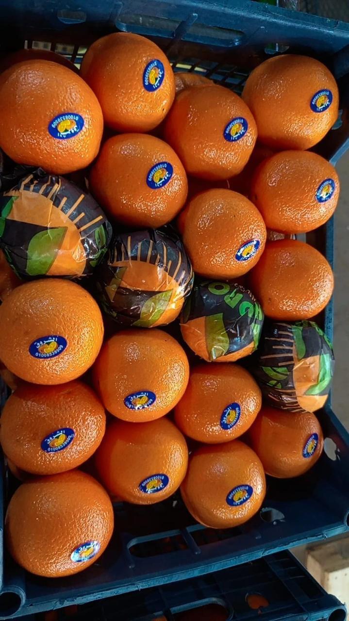 البرتقال الصيفي