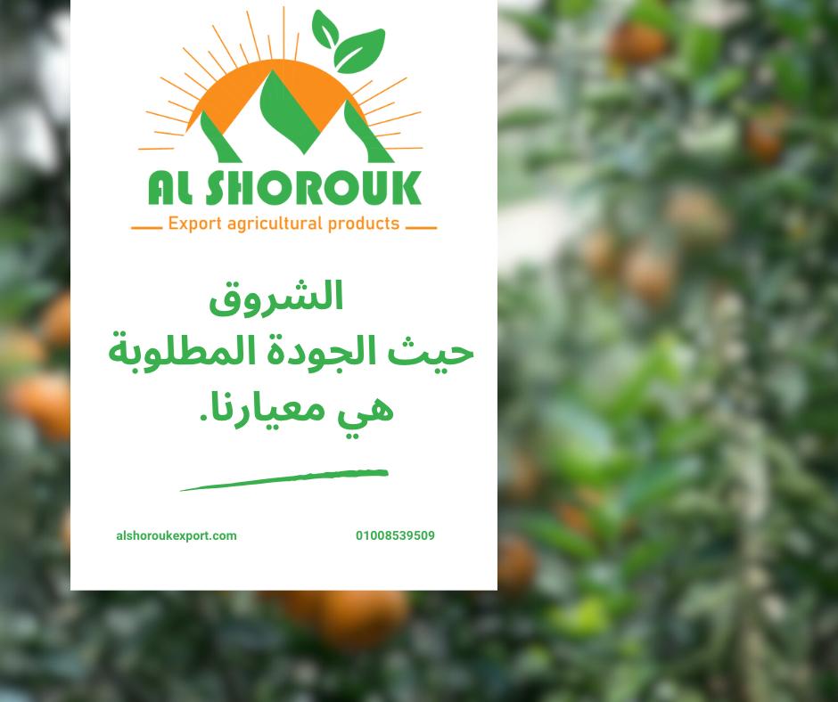 بطاقة تعريفية عن الشروق